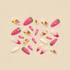 12 Sizes-24 Pcs Press On Nails Y2020