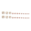 12 Sizes-24 Pcs Press On Nails F198