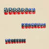 12 Sizes-24 Pcs Press On Nails Y642