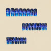 12 Sizes-24 Pcs Press On Nails Y1544