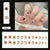 12 Sizes-24 Pcs Press On Nails R942