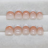 12 Sizes-24 Pcs Press On Nails R902