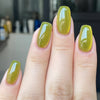 12 Sizes-24 Pcs Press On Nails Y819