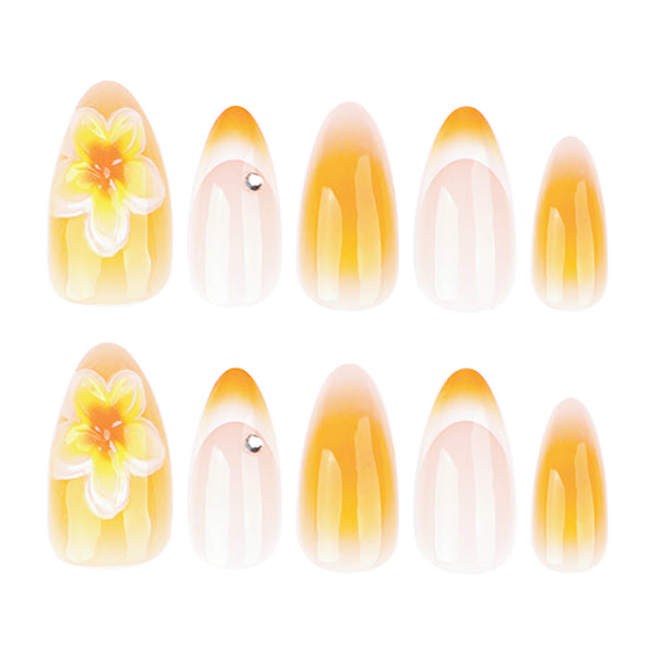 12 Sizes-24 Pcs Press On Nails JL0677