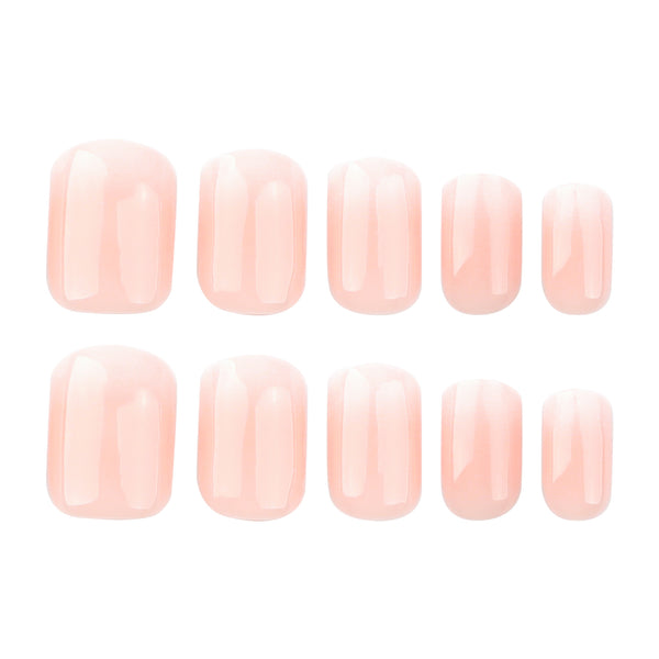 12 Sizes-24 Pcs Press On Nails JP3575