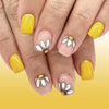 12 Sizes-24 Pcs Press On Nails C802