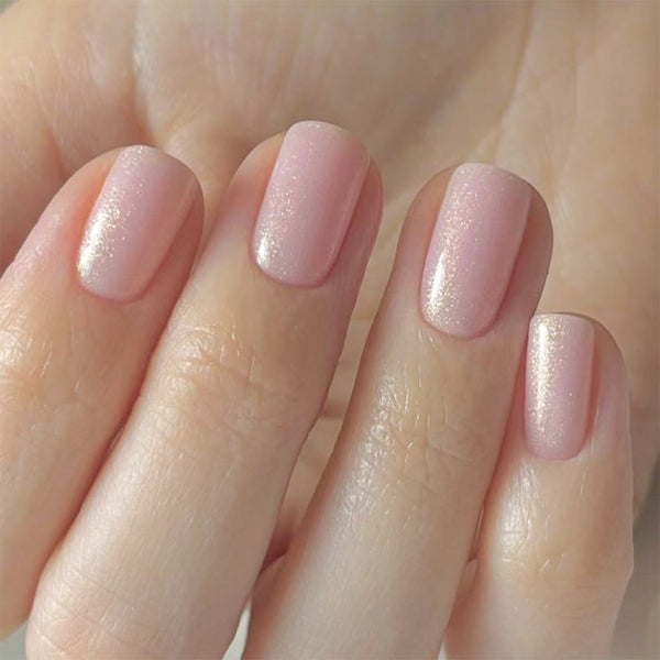 12 Sizes-24 Pcs Press On Nails C1066