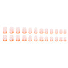 12 Sizes-24 Pcs Press On Nails W877