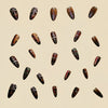 12 Sizes-24 Pcs Press On Nails Y232