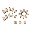 12 Sizes-24 Pcs Press On Nails W252
