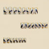 12 Sizes-24 Pcs Press On Nails Y1864