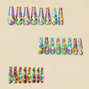 12 Sizes-24 Pcs Press On Nails Y735