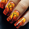 12 Sizes-24 Pcs Press On Nails Y255-1