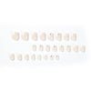 12 Sizes-24 Pcs Press On Nails JP1868