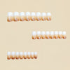 12 Sizes-24 Pcs Press On Nails Y899
