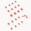12 Sizes-24 Pcs Press On Nails JP1036