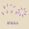 12 Sizes-24 Pcs Press On Nails Y1063