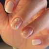 12 Sizes-24 Pcs Press On Nails C905