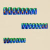 12 Sizes-24 Pcs Press On Nails Y1862