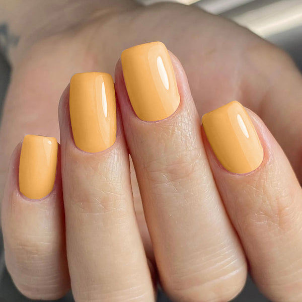 12 Sizes-24 Pcs Press On Nails C972