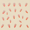 12 Sizes-24 Pcs Press On Nails Y162