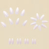 12 Sizes-24 Pcs Press On Nails Y520