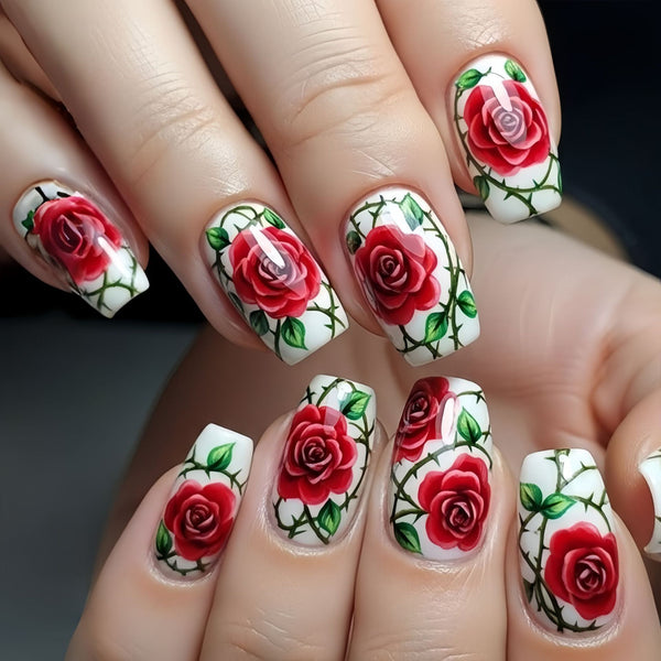12 Sizes-24 Pcs Press On Nails Y1788