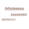 12 Sizes-24 Pcs Press On Nails JP2650