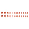 12 Sizes-24 Pcs Press On Nails R855