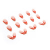 12 Sizes-24 Pcs Press On Nails W213