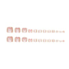 12 Sizes-24 Pcs Press On Nails F140