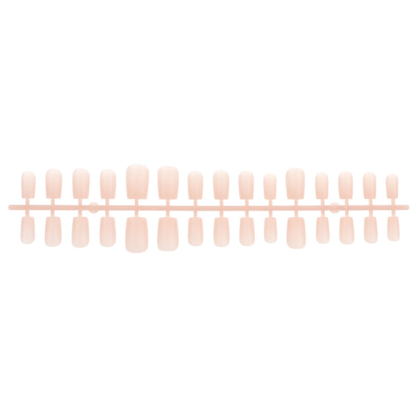 12 Sizes-24 Pcs Press On Nails FM06-01