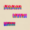 12 Sizes-24 Pcs Press On Nails Y1877
