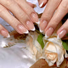 12 Sizes-24 Pcs Press On Nails W2064