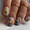 12 Sizes-24 PcsPress On Nails FD022-B7