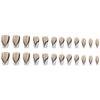 12 Sizes-24 PcsPress On Nails DY1588-B7