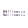 12 Sizes-24 Pcs Press On Nails W1581