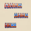 12 Sizes-24 Pcs Press On Nails Y756