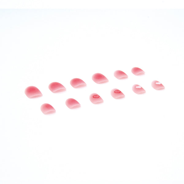 12 Sizes-24 Pcs Press On Nails R335