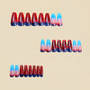 12 Sizes-24 Pcs Press On Nails Y951