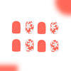 12 Sizes-24 Pcs Press On Nails C834