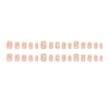 15 Sizes-30 PcsPress On Nails My250