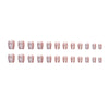 12 Sizes-24 Pcs Press On Nails MY010